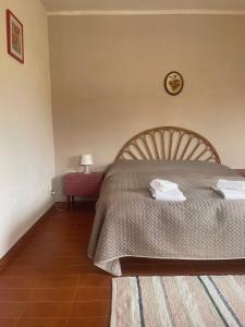 Ificumori, campagna ammare