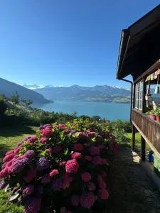 Ferienwohnung mit fantastischer Aussicht - 锡格里斯维尔