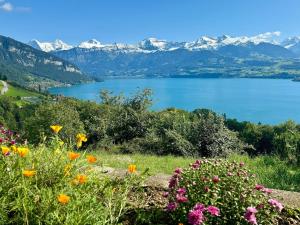 Ferienwohnung mit fantastischer Aussicht