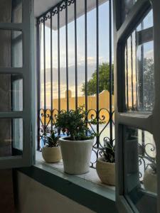 Authentic Colonial & Central