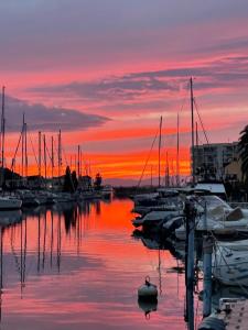 Apartamento puerto madeira Roses