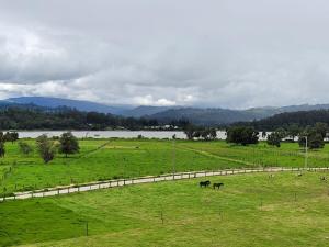 Apartamento con vista al lago