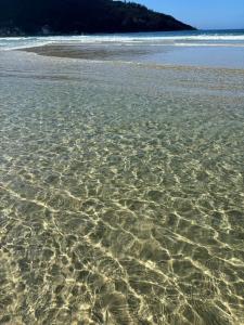 Apartamento Praia Pântano do Sul