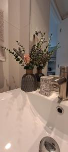 Departamentos Montenegro II