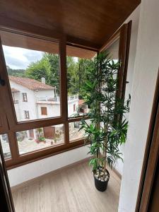 Casa con jardín a pie de playa y montaña