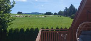 Lawendowe Wzgórze 21 dom z jacuzzi na wyłączność