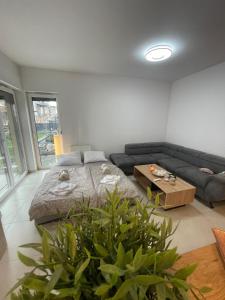 Apartament z dużym tarasem - najbliżej PreZero