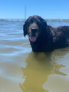 Casa Hortênsia - Beira da Lagoa - Laguna-SC