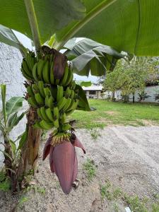 Casa São Lourenço - Riviera