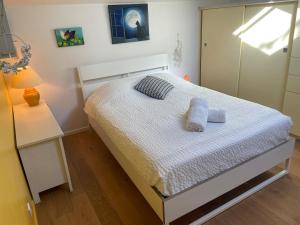Maisons de vacances La Fontaine, Maison avec Piscine a 8 mn de Belleville : photos des chambres