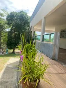 Granja Vale das Águas - Abreu e Lima