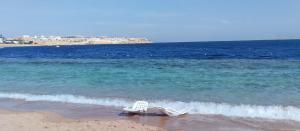 Central Acquamarine suite whit terrace