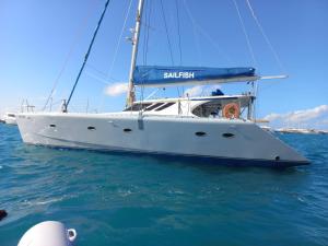 SailFish Catamaran