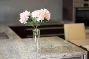 Gaverskyi Apartment FREE PARKING nad Odrą