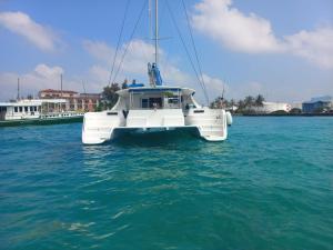 SailFish Catamaran