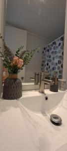 Montenegro II Estudio 2