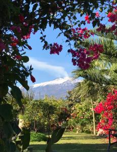 La Capanna di Giuseppe e Maria