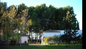 Casica de Hellín
