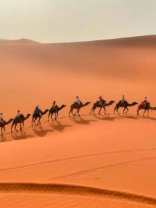 Merzouga Desert Tent