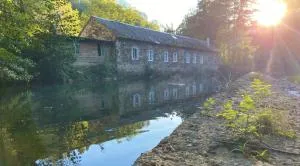 Gites Libellule at Auberge de l'Arac, Bar, Restaurant - Rivèrenert