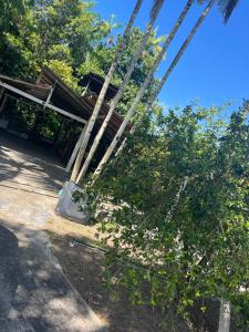 Alugo Casa para COP 30