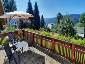 Ferienwohnung Irene - große Terrasse mit Ausblick - Arnoldshammer