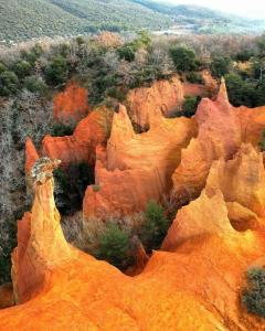 Maisons de vacances Maison de ville au bord du Lez, 170m2 cosy. : photos des chambres