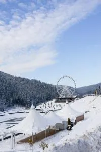 Glacier Premium Apartments - Bystrytsya