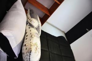 Casa cerca de concierto Marc Anthony Med Plus