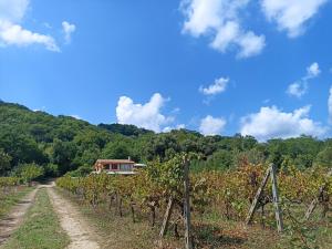Isola Natura Farm Retreat Sardinia