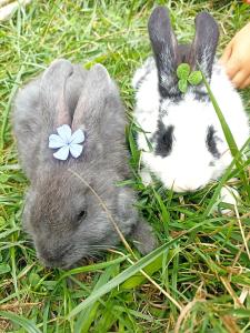 Isola Natura Farm Retreat Sardinia