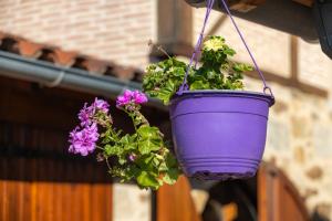 Oustal de la FRAYSSIERE