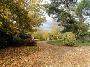 Baytree and Foxglove linked Beach Harbour in AONB