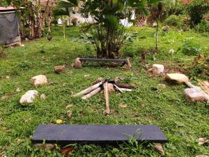 Bioparque Las Cañadas