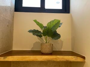 Sak Luum Studio Aldea Zama and Beach Club Access