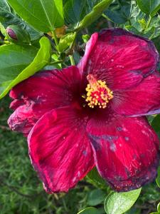 Quinta Las Victorias