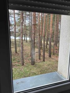 Apartman Šumski San