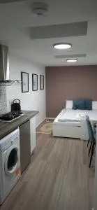 Beautiful cozy studio - 埃尔沃斯