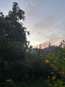 CabaƱa Refugio campestre
