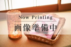 Ooedo Onsen Monogatari Premium SendaiSakunami