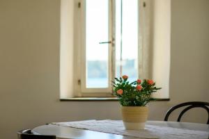 Apartments and rooms by the sea Sibenik - 23721