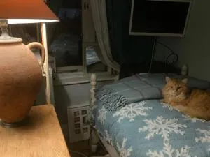 Comfy Cosy , Tv, mic, fridge - Wervin