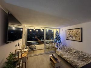 Depto Equipado Viña del Mar