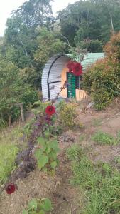 Ecoglamping Guatoc