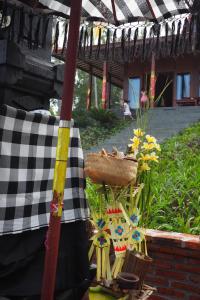 Villa Ronggo Mayang at Balian beach