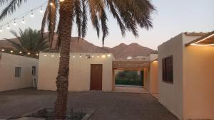 مزرعة نحل العسل