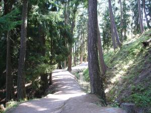 Apartment Veysonnaz near Ski Lift & Shuttle