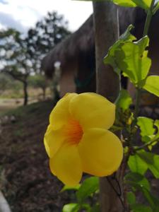 Eco Hostel Oro de Gaque