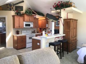 Octopus Suite