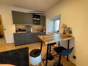 Apartment NAVI- Modern studio in Krkonoše foothills - Staré Buky